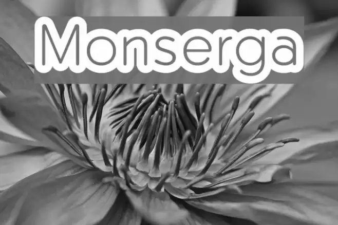Monserga Schriftart examples