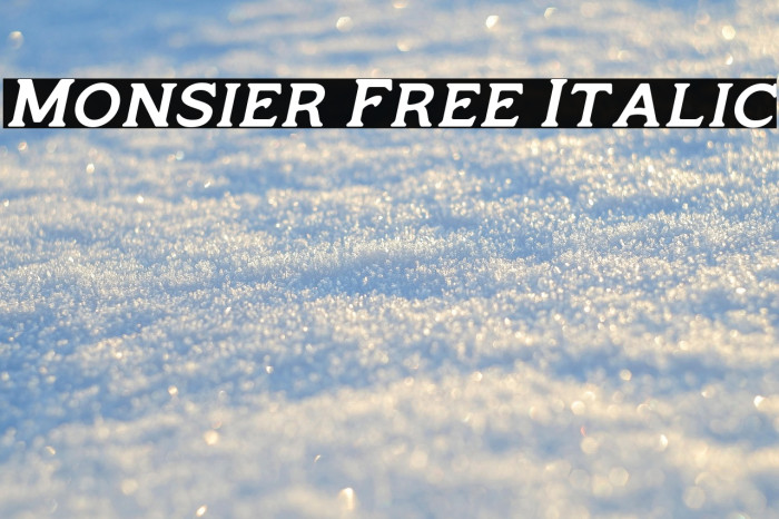 Monsier Free Italic Example 1