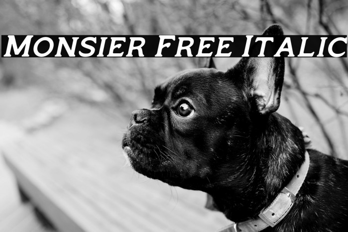 Monsier Free Italic Example 2