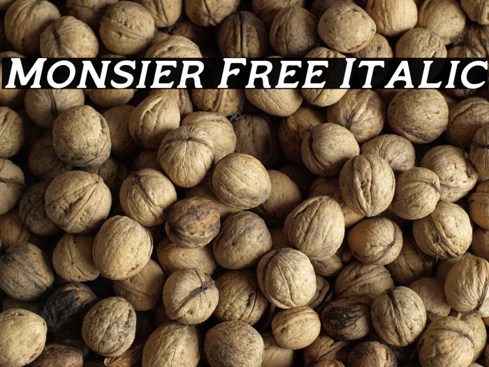 Monsier Free Italic Example 3