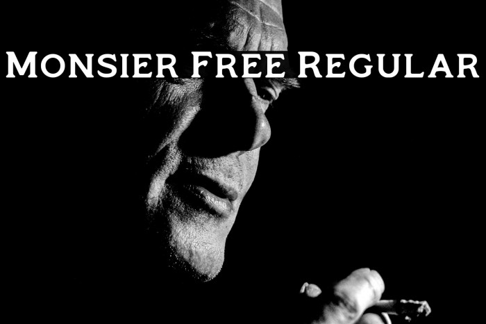 Monsier Free Regular Example 1