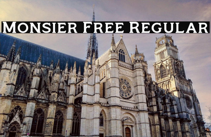 Monsier Free Regular Example 2