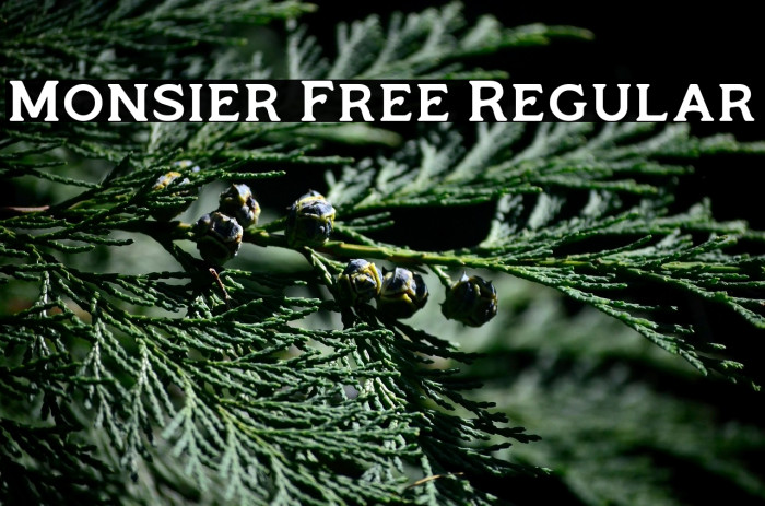 Monsier Free Regular Example 3