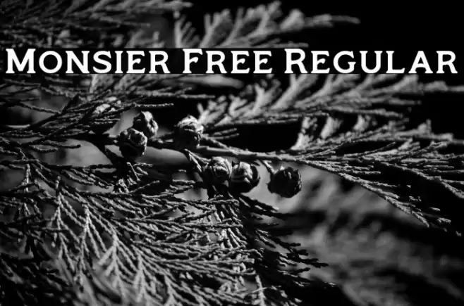 Monsier Free Regular Font examples