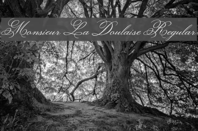 Monsieur La Doulaise Regular Font examples