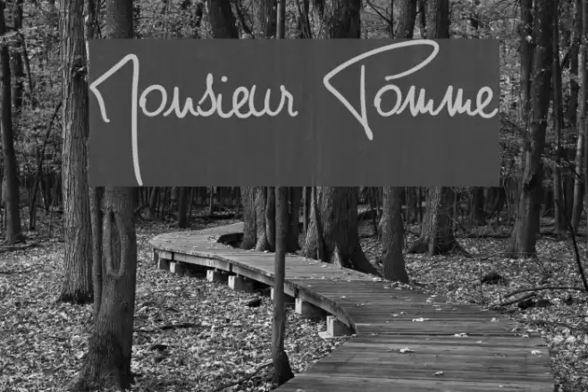 Monsieur Pomme Font examples