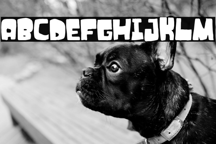 Monsieur des problèmes Example 1