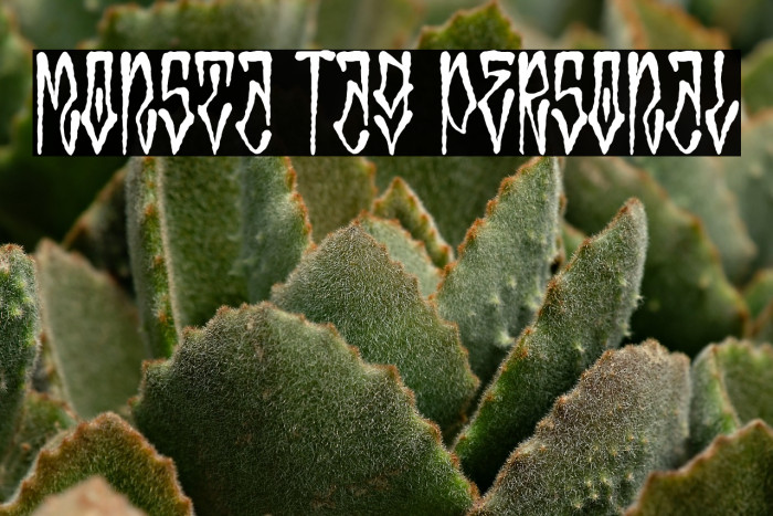 Monsta Tag Personal Example 1