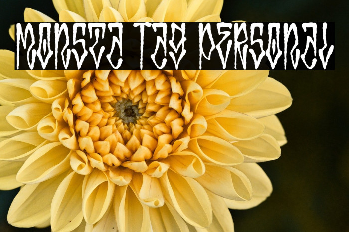 Monsta Tag Personal Example 3