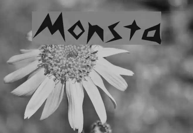 Monsta Font examples