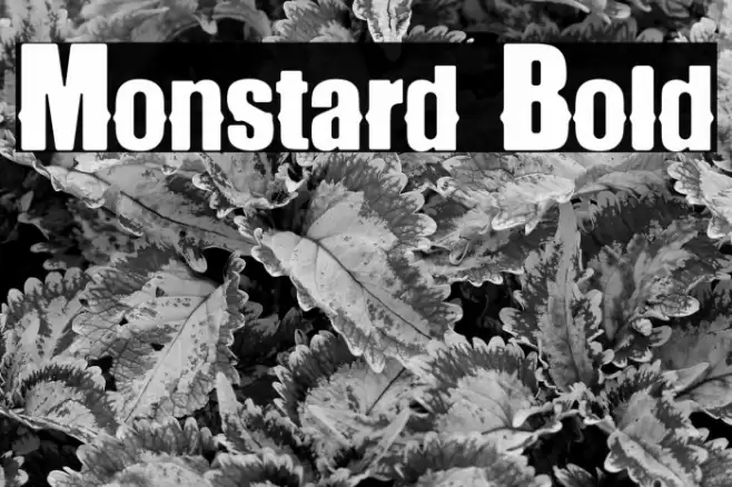 Monstard Bold Font examples