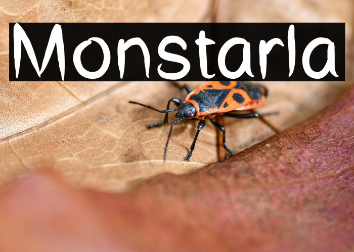 Monstarla Example 1