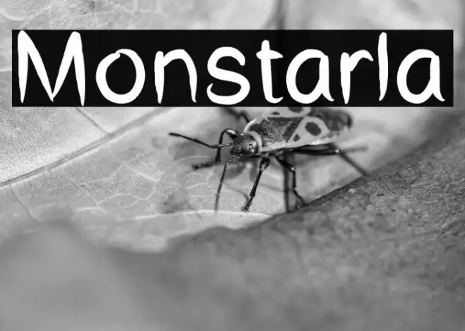 Monstarla Caratteri examples