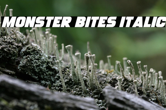 Monster Bites Italic Example 3