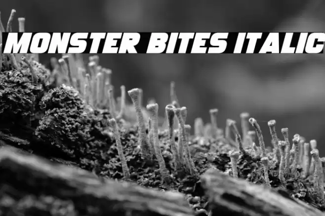 Monster Bites Italic Font examples