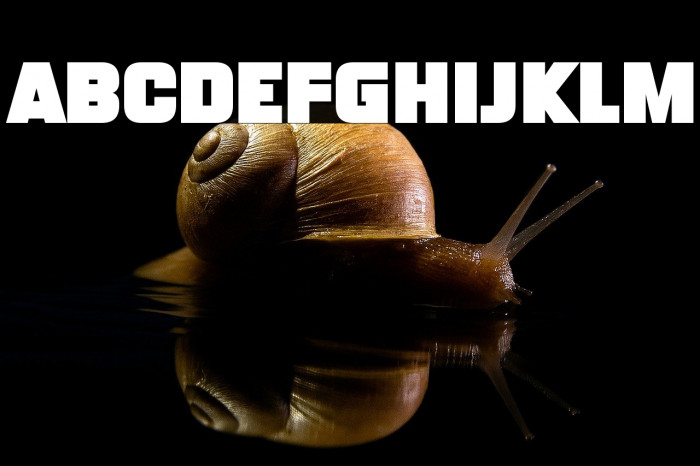 Monster Bites Example 3