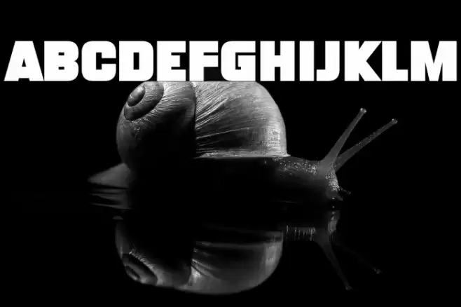 Monster Bites Font examples