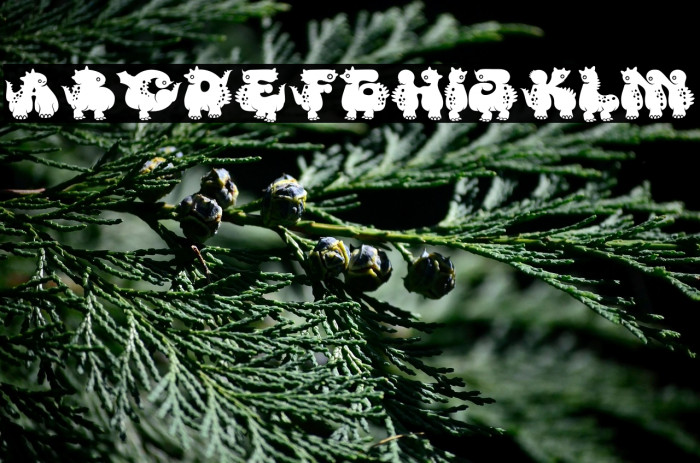 Monster DIno Example 1