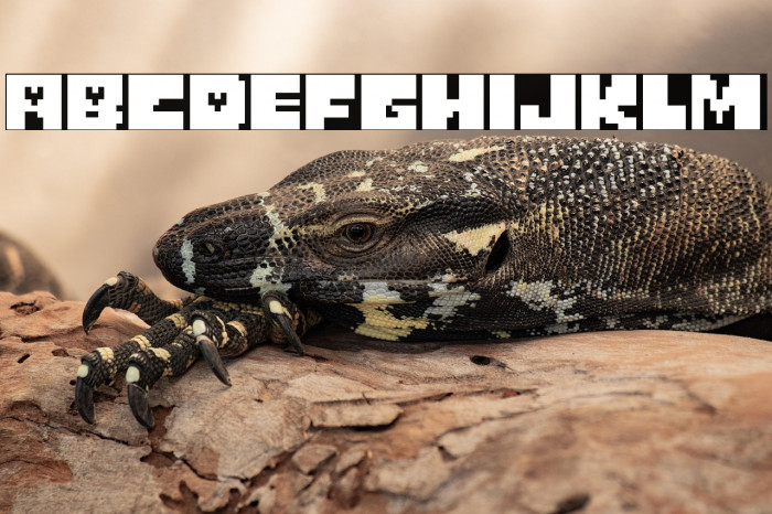 Monster Friend Back (RUS BY LYA Example 2