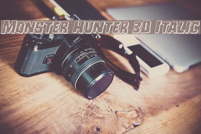 Monster Hunter 3D Italic Example 1