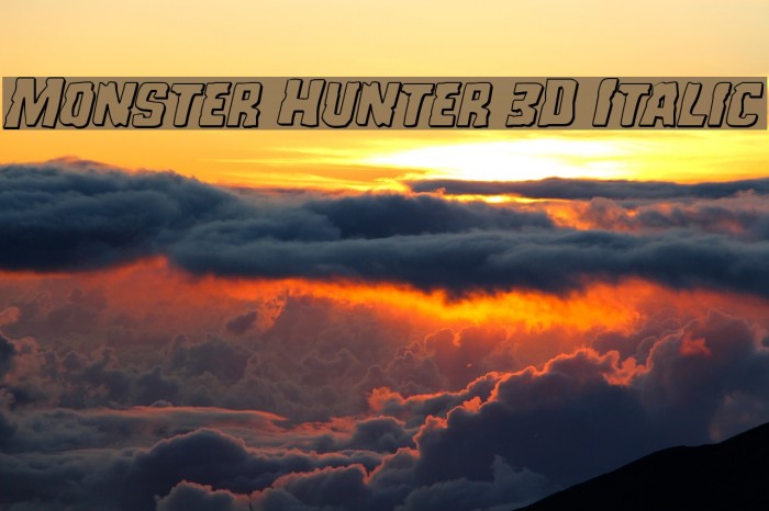 Monster Hunter 3D Italic Example 2