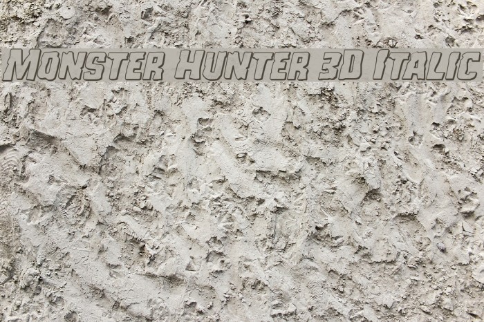 Monster Hunter 3D Italic Example 3
