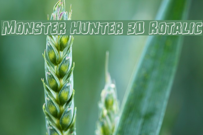 Monster Hunter 3D Rotalic Font examples