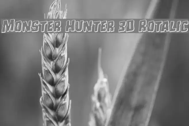 Monster Hunter 3D Rotalic Example 1