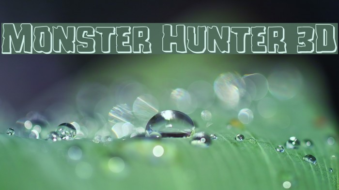 Monster Hunter 3D Example 1