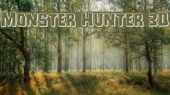 Monster Hunter 3D Example 2