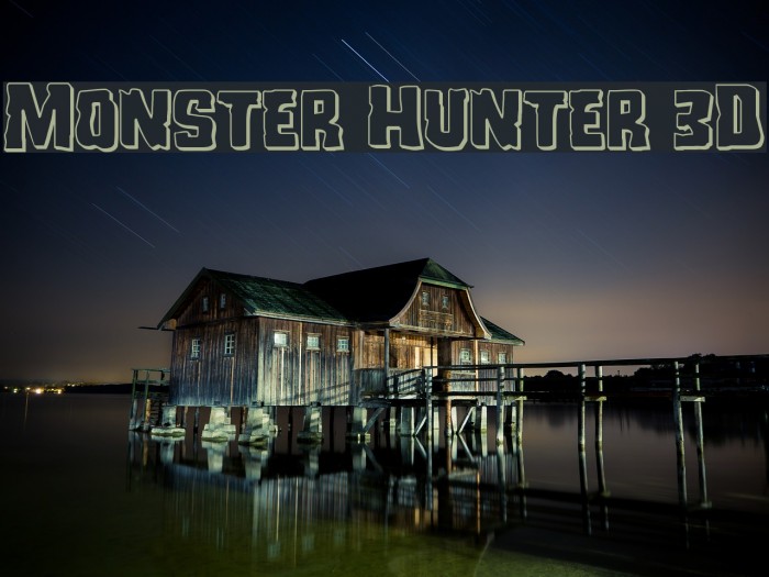 Monster Hunter 3D Example 3