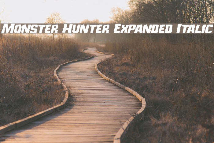 Monster Hunter Expanded Italic Example 3