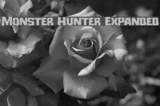 Monster Hunter Expanded Example 1