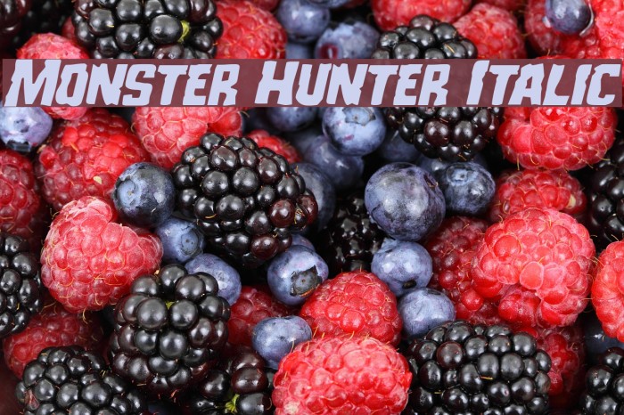 Monster Hunter Italic Example 1