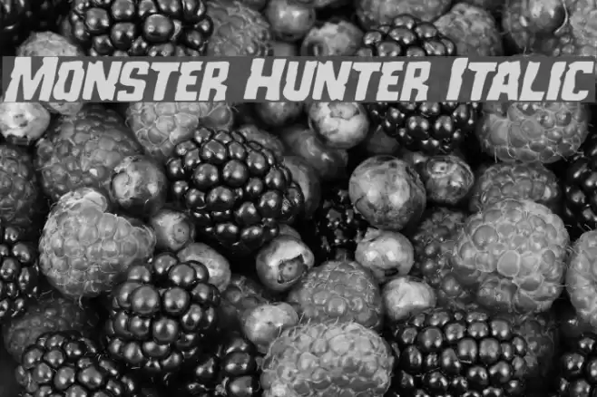Monster Hunter Italic Font examples