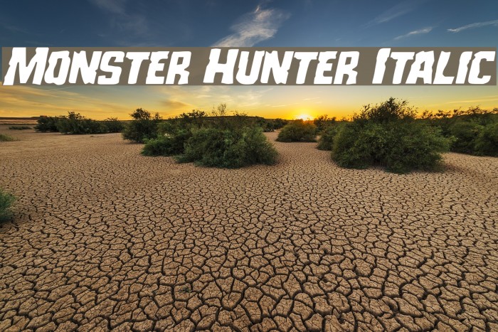 Monster Hunter Italic Example 3