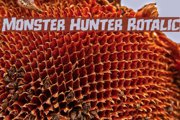 Monster Hunter Rotalic Example 2