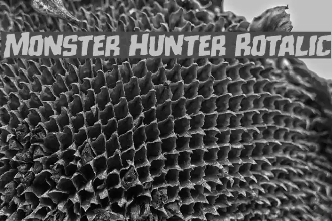 Monster Hunter Rotalic Font examples
