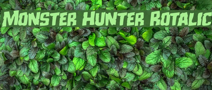 Monster Hunter Rotalic Example 3