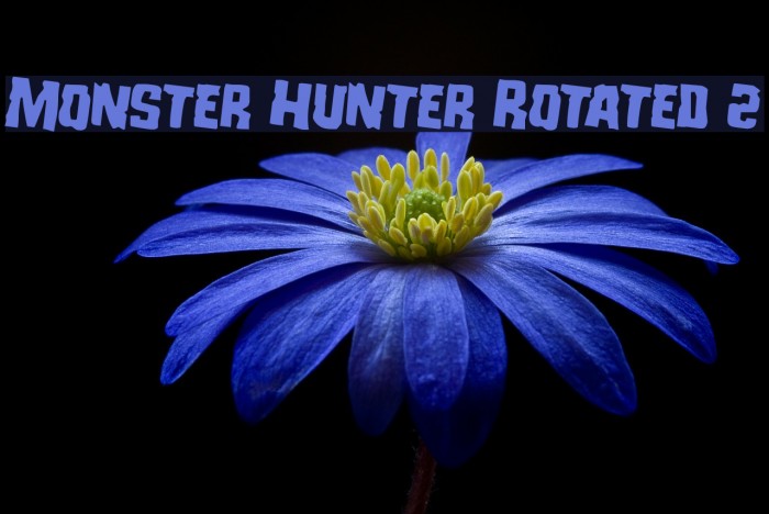 Monster Hunter Rotated 2 Example 1