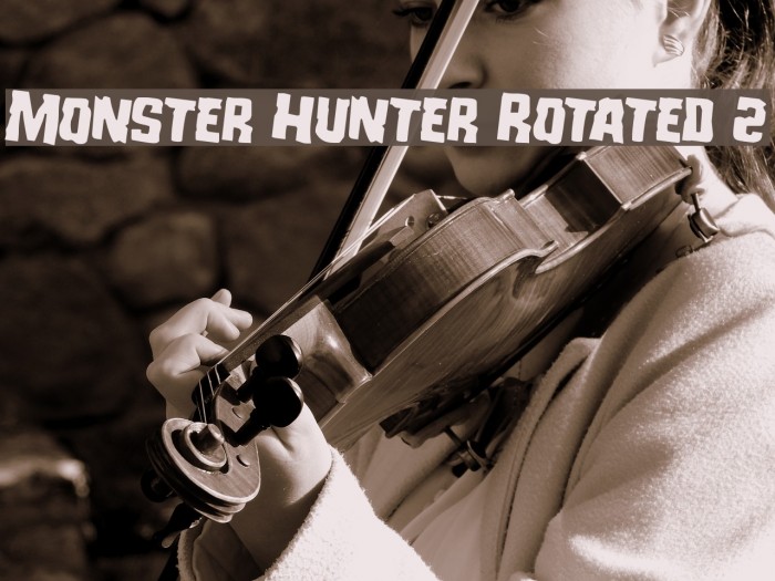 Monster Hunter Rotated 2 Example 2