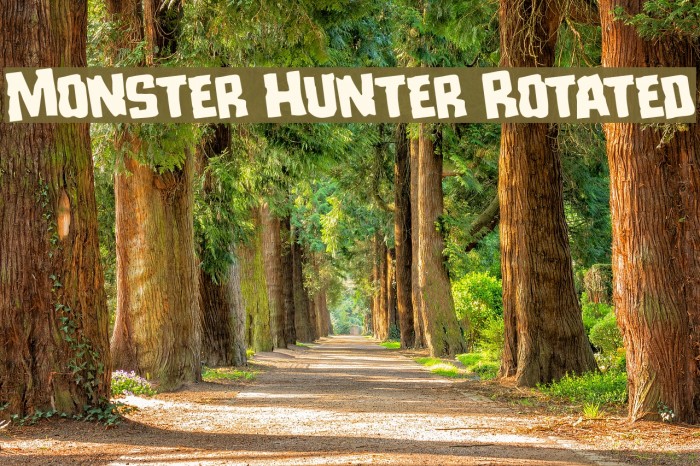 Monster Hunter Rotated Example 2