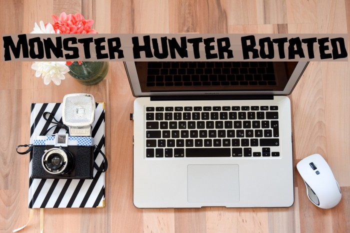 Monster Hunter Rotated Example 3