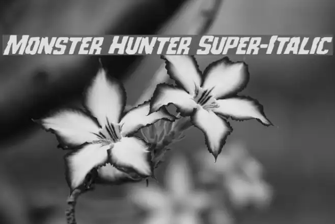 Monster Hunter Super-Italic Example 2