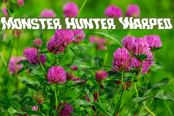 Monster Hunter Warped Example 2