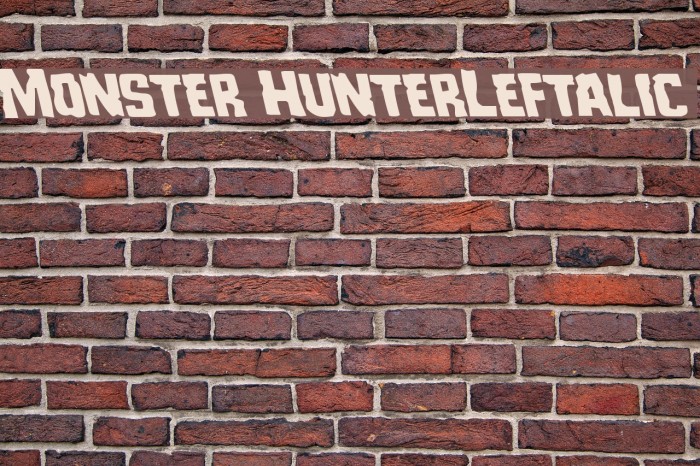 Monster HunterLeftalic Example 1