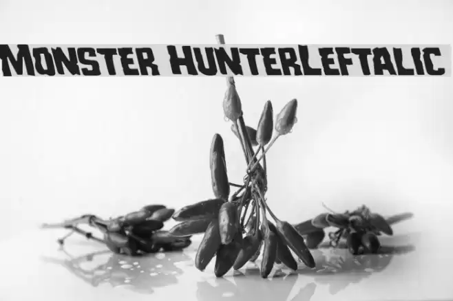 Monster HunterLeftalic Font examples
