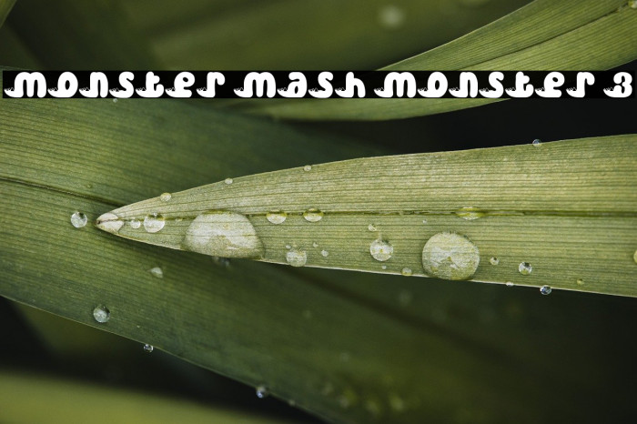 Monster Mash Monster 3 Example 1