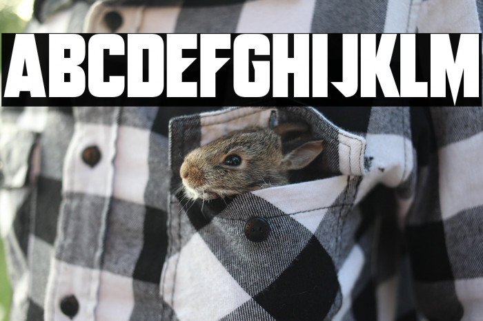 Monster Mech Example 2