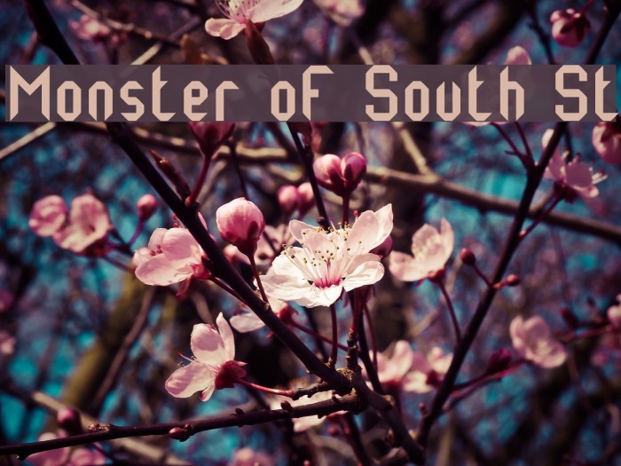 Monster oF South St Font examples